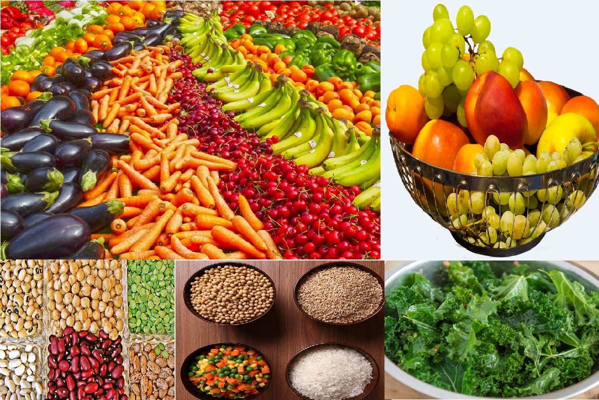 The Healthy Vegan Diet Plan for Vegan Food and Nutrition