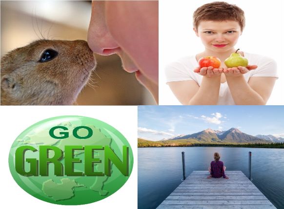 Why Go Vegan? Six Convincing Reasons