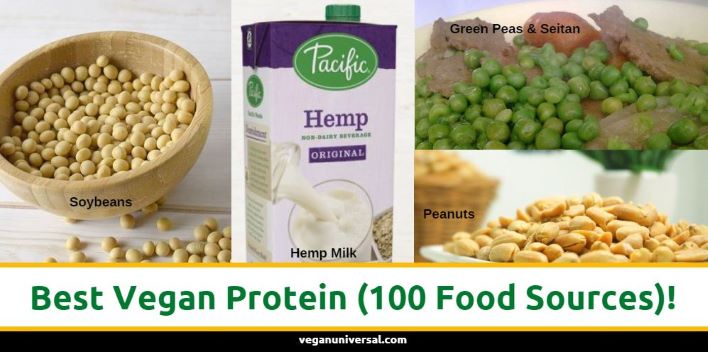 Best Vegan Protein Sources to Keep You Healthy!